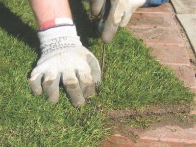 New turf lawn in Somerset