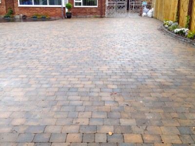 Tegula-Bridgwater (2)