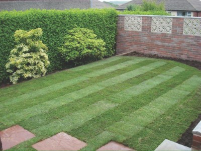 garden-services-bridgwater (2)