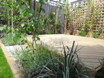 garden-services-bridgwater (9)