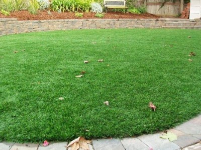 New lawn in Somerset