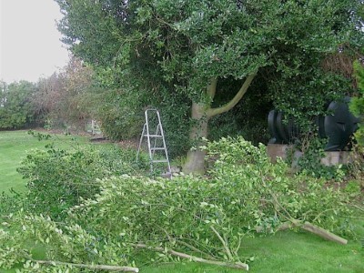 Landscaping in Yeovil