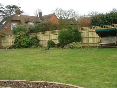 wooden-fencing-taunton (5)